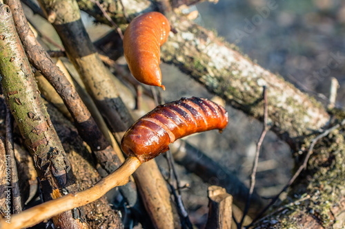 Grilling sausages, cooking food on camp fire, survival in nature