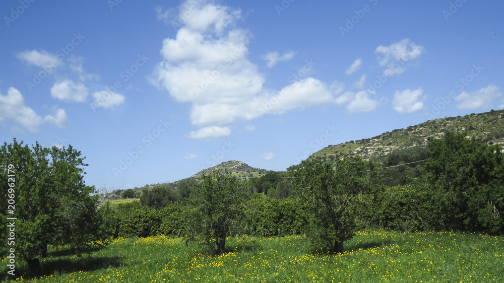 View of the country near  Modica in the province of Ragusa in  Sicily, Italy