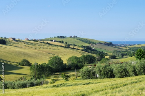 colline,agricoltura,panorama,veduta,campo,paesaggio