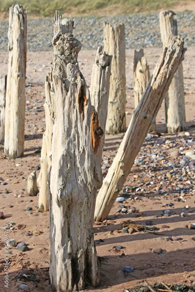 Wooden groynes on Dawlish Warren beach Wooden groynes on Dawlish Warren beach