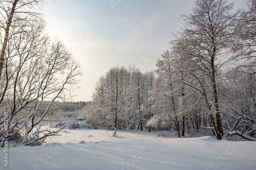 Winter landscape with snow-covered trees