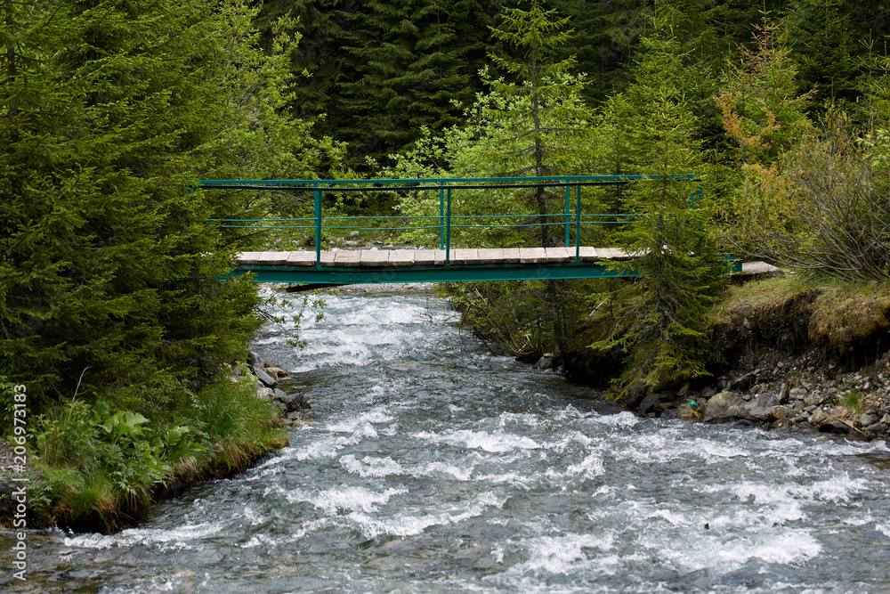 Fototapeta premium Wooden bridge over a creek