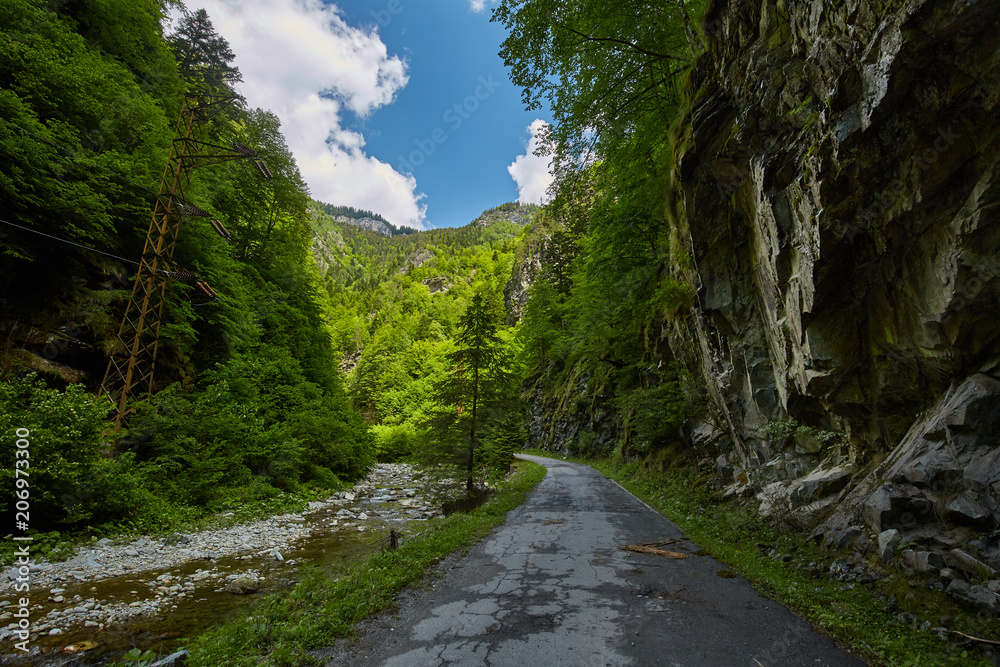 Beautiful gorge in Carpathian mountains