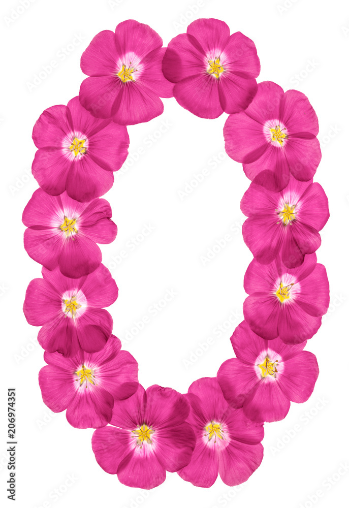 Arabic numeral 0, zero, from pink flowers of flax, isolated on white background Arabic numeral 0, zero, from pink flowers of flax, isolated on white background