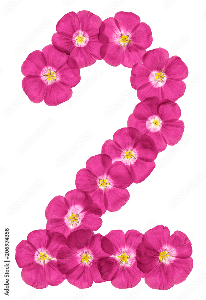 Arabic numeral 2, two, from pink flowers of flax, isolated on white background