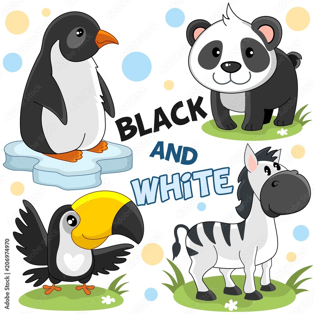 Obraz premium A set of wild animals and birds white and black for children and design. An image of a penguin, panda, toucan and striped zebra.