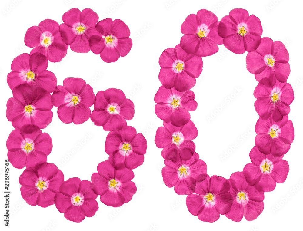 Arabic numeral 60, sixty, from pink flowers of flax, isolated on white background Arabic numeral 60, sixty, from pink flowers of flax, isolated on white background