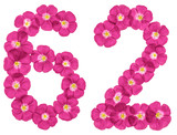 Arabic numeral 62, sixty two, from pink flowers of flax, isolated on white background