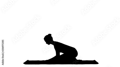 Woman doing Upward Dog Yoga Position, part of Sun Salutation track matte