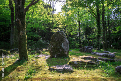 Stone standing in a green meadow surrounded by smaller stones photo