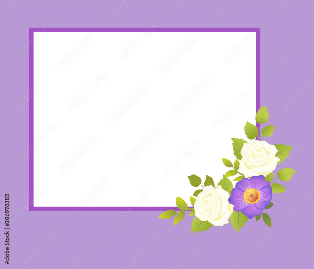 Purple Frame with White Rose Flowers Gentle Daisy Purple Frame with White Rose Flowers Gentle Daisy