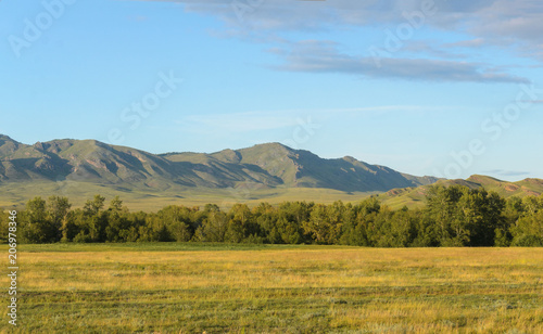 Sunny summer landscape, hills, forest, blue sky