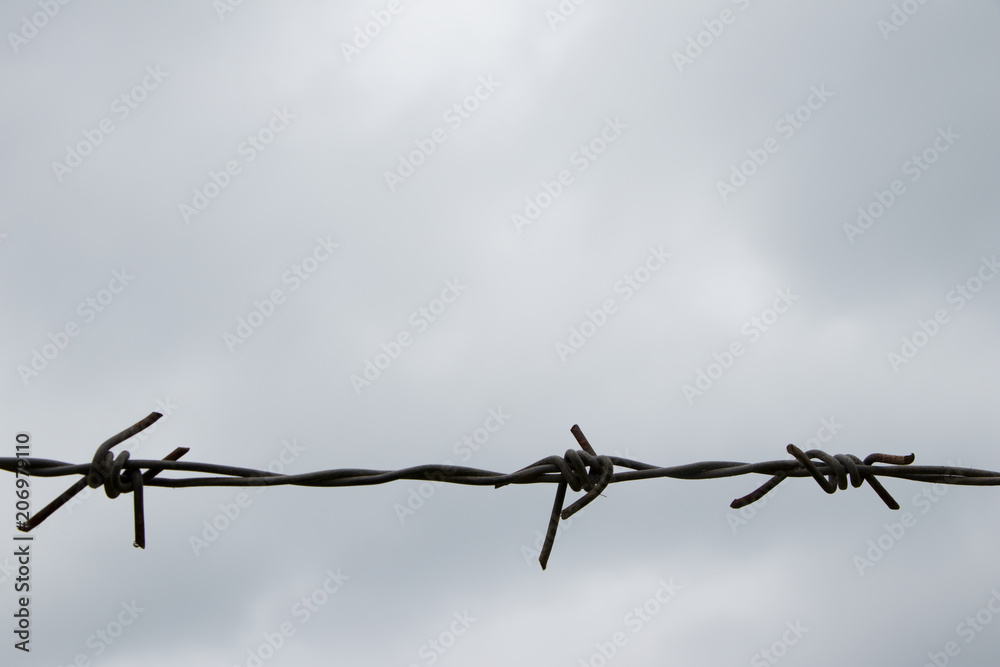 Old barbed wire at a grey cloudy sky Old barbed wire at a grey cloudy sky