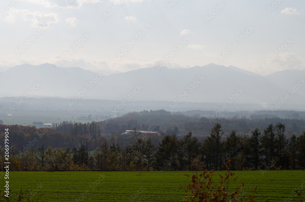 丘の風景 丘の風景