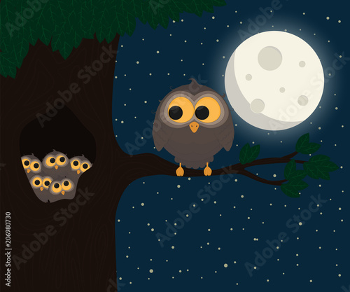cute owl sit at hollow under the moon