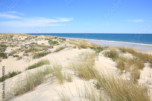 Coto de Donana National Park in the Province Huelva  Atlantic coast  Andalusia  Spain