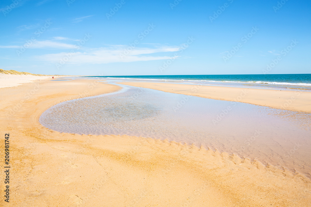 The sand beach in the Coto de Donana National Park, Atlantic coast, Costa de la Luz, Andalusia, Spain The sand beach in the Coto de Donana National Park, Atlantic coast, Costa de la Luz, Andalusia, Spain