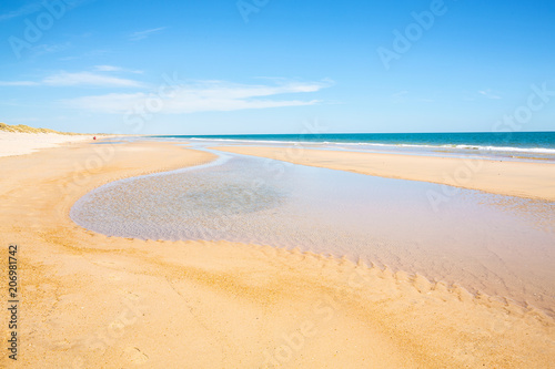 The sand beach in the Coto de Donana National Park  Atlantic coast  Costa de la Luz  Andalusia  Spain