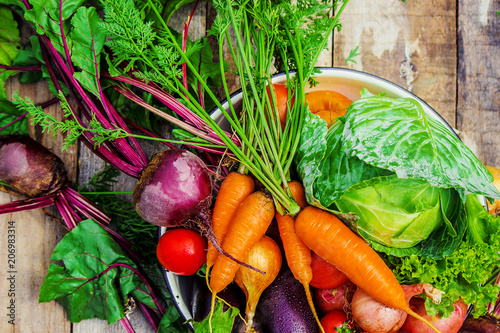 Different bio vegetables. Selective focus. photo