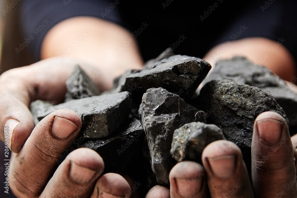 Coal miner in the man hands of coal background. Coal mining or energy source, environment protection. Industrial coals. Volcanic rock.