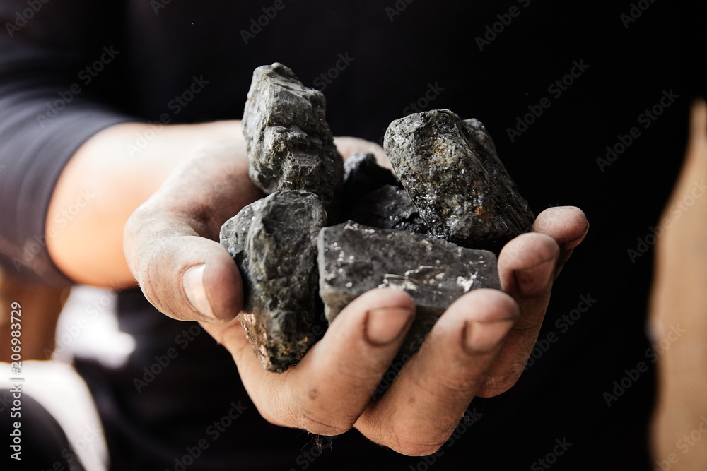 Man hand holding coal. coal mining.