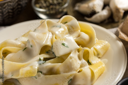 Fettuccine Pasta Plate with Creamy Alfredo Sauce