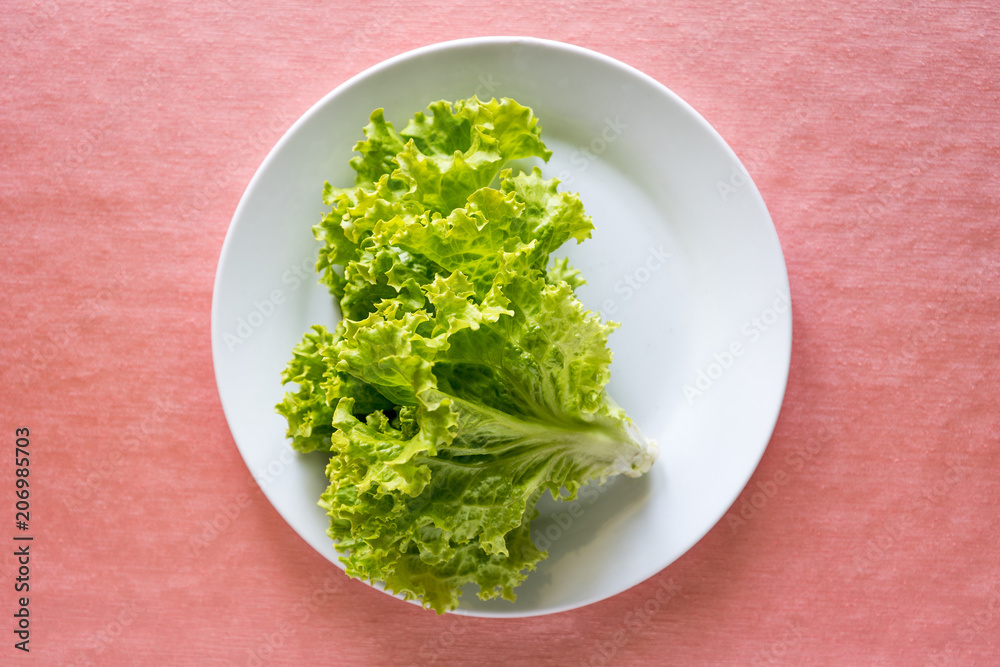 Lettuce salad on plate. Lettuce salad on plate.