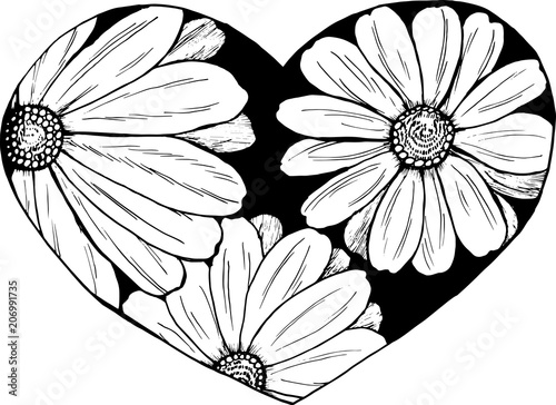 Black and white illustration of a bouquet of chamomil. Everything is love