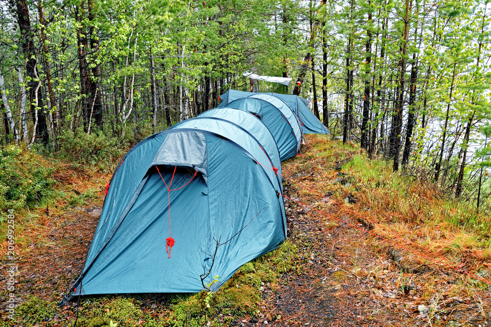 Several large tents in the taiga on the shore of the reservoir