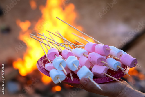  pile of delicious and sweet marshmallows on a stick in the background of a campfire photo