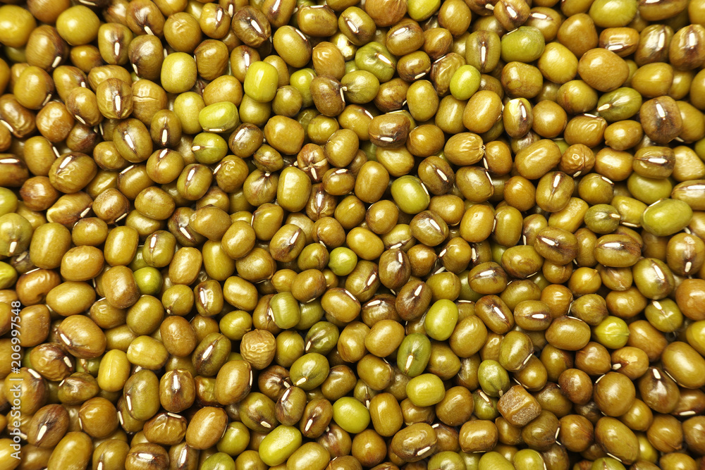 Green bean or mung bean background Green bean or mung bean background