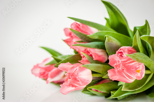 Bouquet of pink tulips on a light background. Holiday card.  Copy space. Spring concept.