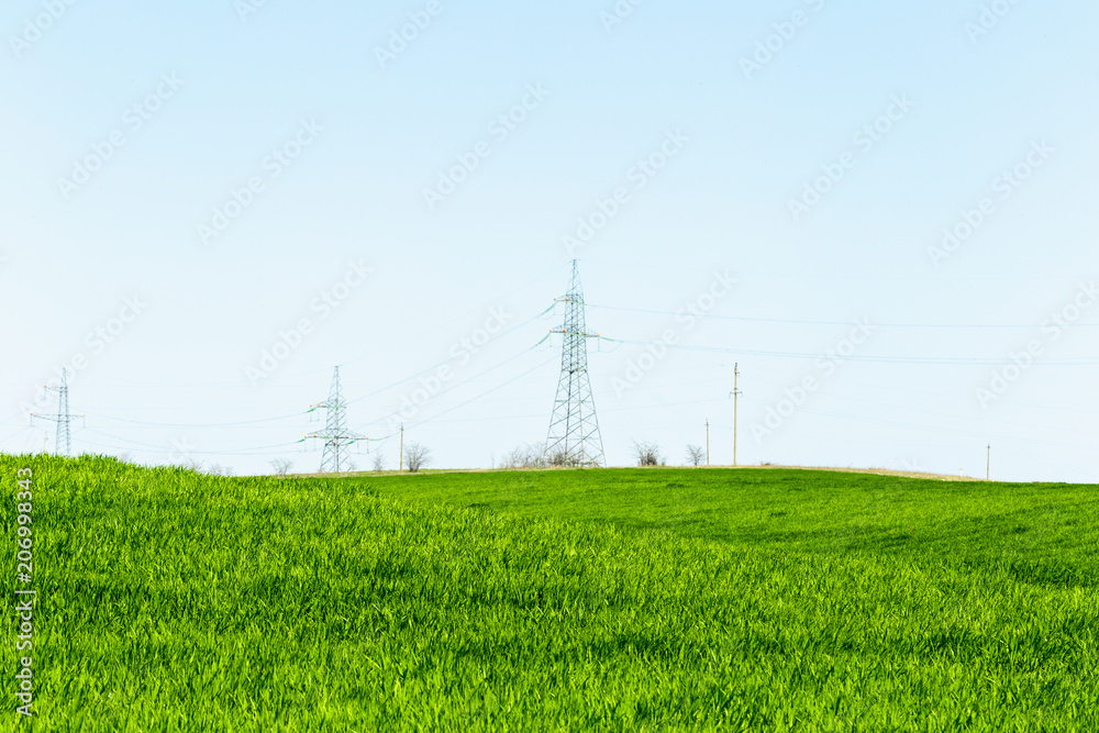 beautiful Green field beautiful Green field