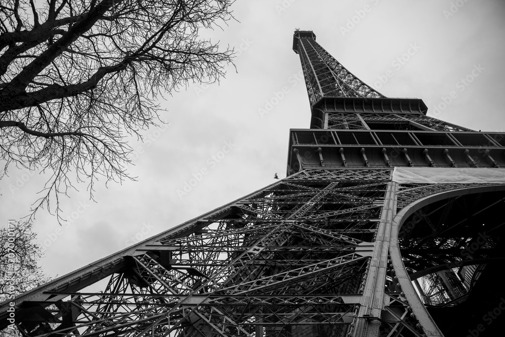 torre eiffel balnco y negro