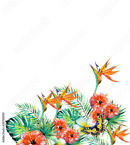 beautiful tropical palm leaves and flowers, watercolor