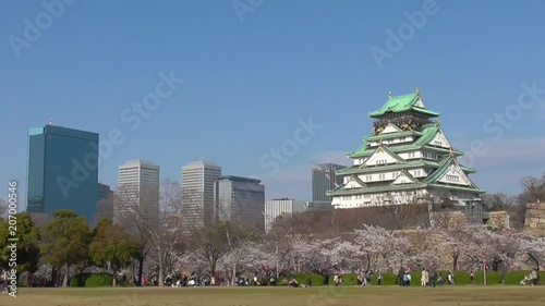 桜の季節の大阪城とビジネス街