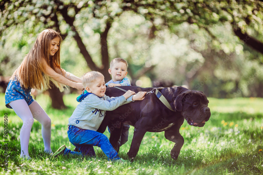 Fototapeta premium The boys ang girl standing near dog in the park