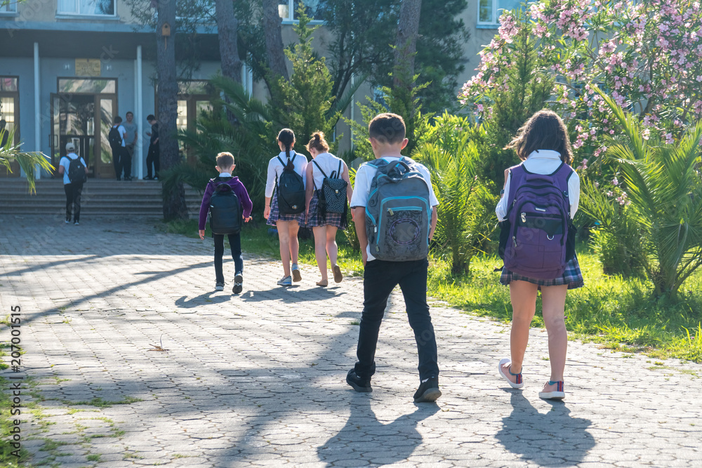 Group of kids going to school, education Group of kids going to school, education