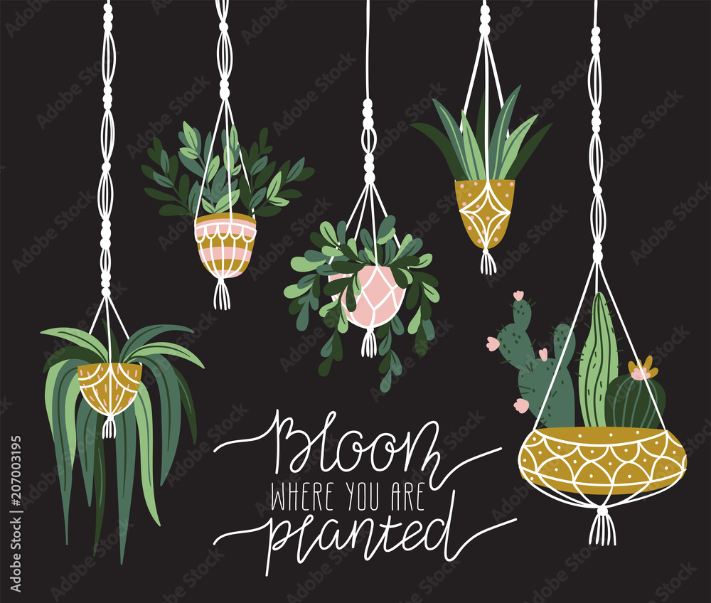 Macrame plant hangers in scandinavian interior. Vector stylish elements ...