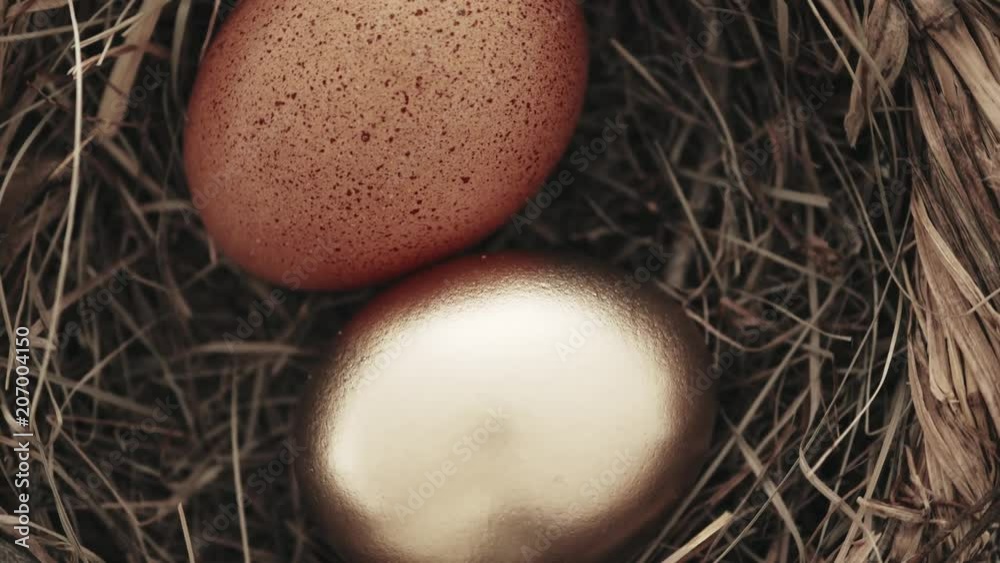 Golden egg inside nest