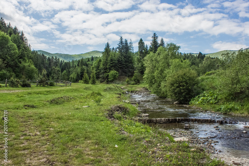 summer green mountain forest landscape with stream river
