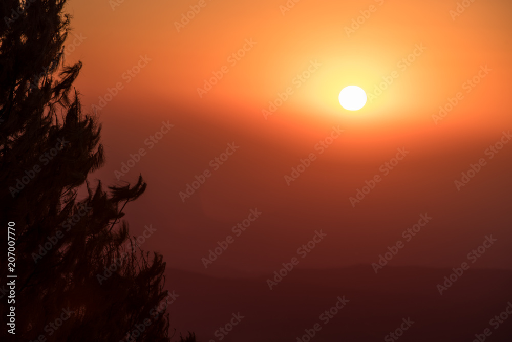 Intense red orange sunrise above faintly visible hills, with a silhouetted fir tree at Gods Window in Mpumalanga, South Africa Intense red orange sunrise above faintly visible hills, with a silhouetted fir tree at Gods Window in Mpumalanga, South Africa