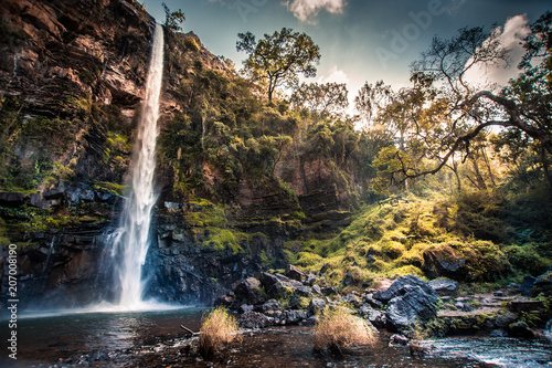 Lone Creek Waterfall in Mpumalanga  South Africa  with sunlight streaming through foliage over mossy banks