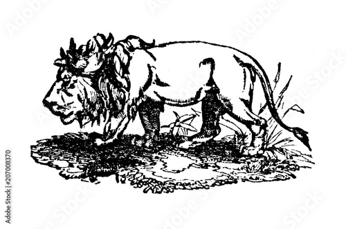 Fototapeta Naklejka Na Ścianę i Meble -  Lion (from Das Heller-Magazin, April 5, 1834)