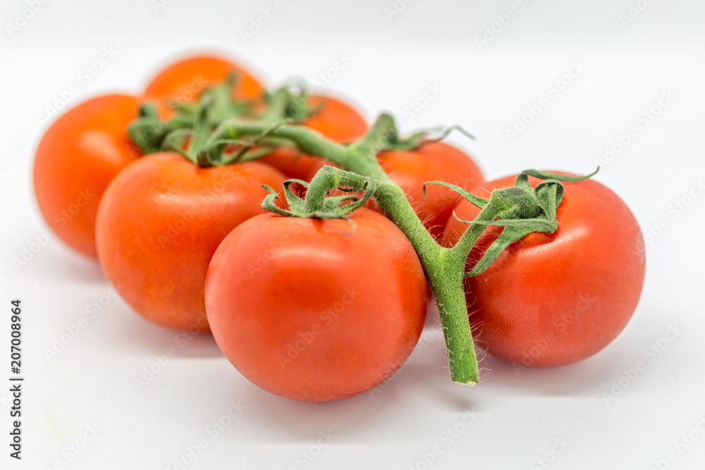Red tomatoes on the vine, against a white background Red tomatoes on the vine, against a white background