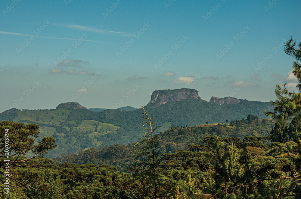 Panoramic view of forest and peak known as “Pedra do Bau” near Campos do Jordao, a city famous for its mountain and hiking tourism. Located in the São Paulo State, southwestern Brazil