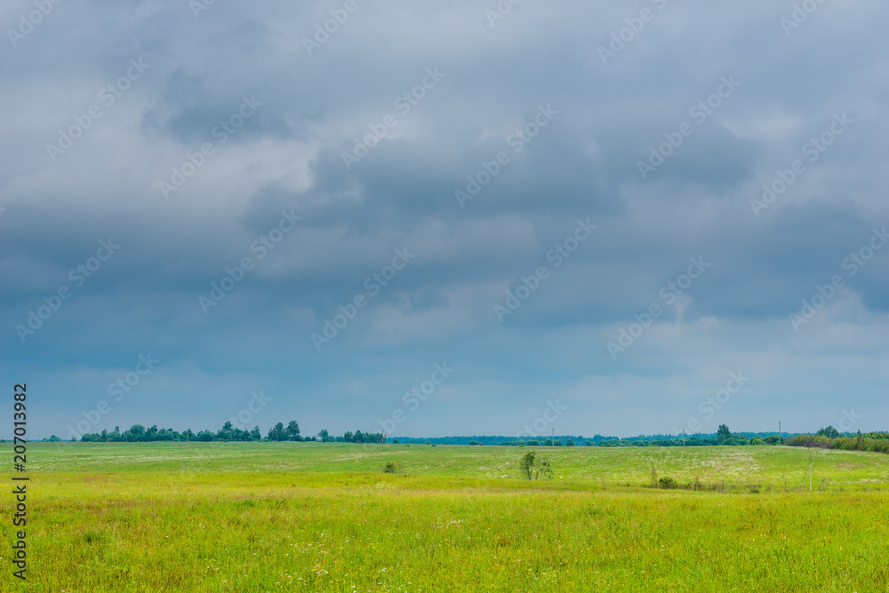 photo of a spring field in a rainy season, dark clouds in the sky