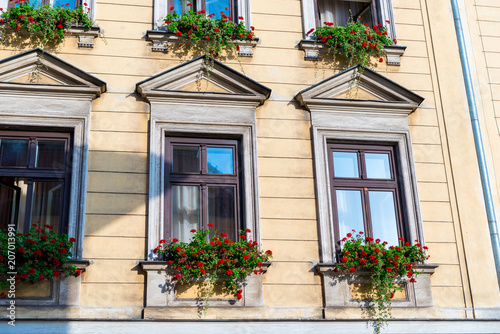 three wooden house window with beautiful red flowers in a pot closeup