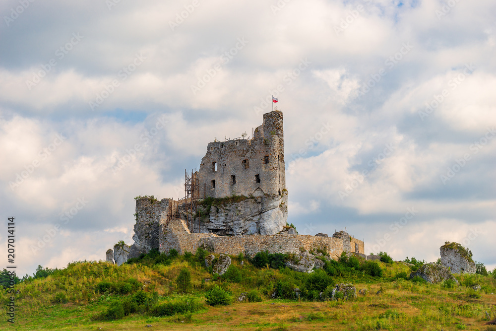 view of the beautiful ruined castle in Mirow, Poland