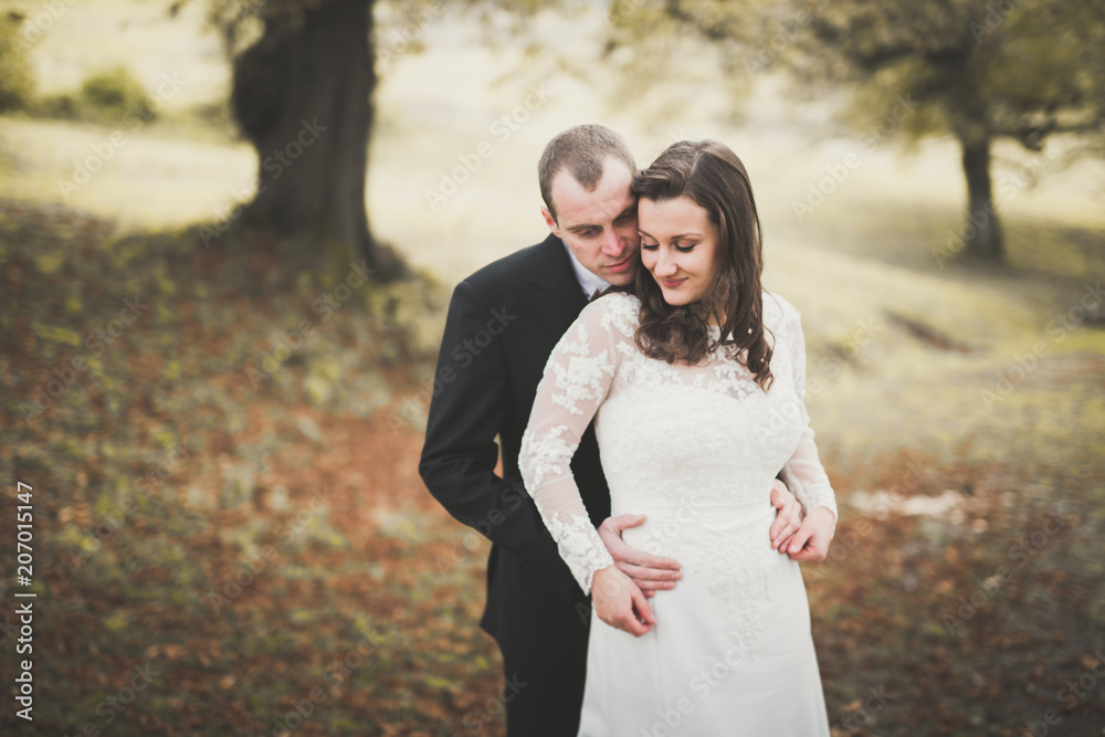 Romantic, fairytale, happy newlywed couple hugging and kissing in a park, trees in background